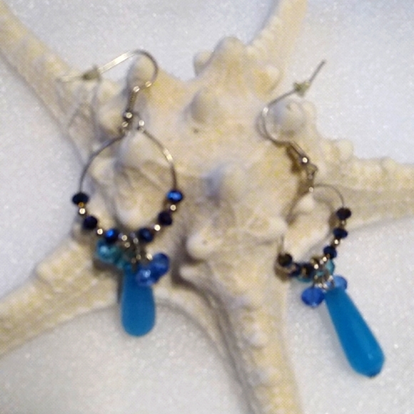 Jewelry - Nwt Blue Crystal Earrings